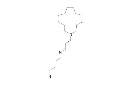 4-aminobutyl-[3-(1-azacyclotridec-1-yl)propyl]amine
