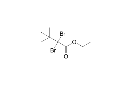 2,2-dibromo-3,3-dimethyl-butyric acid ethyl ester