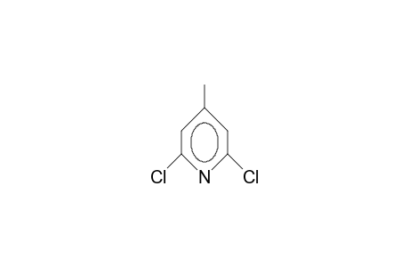 2,6-Dichloro-4-methyl-pyridine