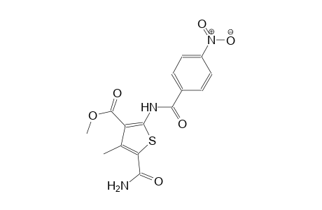 methyl 5-(aminocarbonyl)-4-methyl-2-[(4-nitrobenzoyl)amino]-3-thiophenecarboxylate