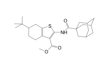 methyl 2-[(1-adamantylcarbonyl)amino]-6-tert-butyl-4,5,6,7-tetrahydro-1-benzothiophene-3-carboxylate