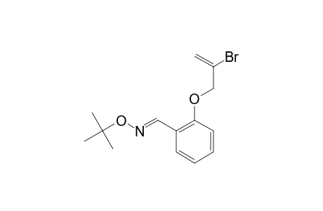 2-(2-Bromoallyloxy)benzaldehyde O-tert-butyloxime