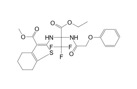 benzo[b]thiophene-3-carboxylic acid, 2-[[1-(ethoxycarbonyl)-2,2,2-trifluoro-1-[(phenoxyacetyl)amino]ethyl]amino]-4,5,6,7-tetrahydro-, methyl ester