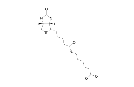 BIOT-3-(5);6-[5-(2-OXO-HEXAHYDROTHIENO-[3,4-D]-IMIDAZOL-6-YL)-PENTANOYLAMINO]-HEXANOIC-ACID