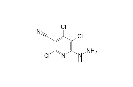 2,4,5-Trichloro-6-hydrazino-nicotinonitrile