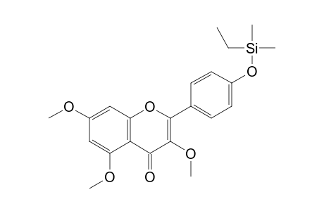 3,5,7-tri-O-methyl-4'-O-dimethylethylsilylkaempferol