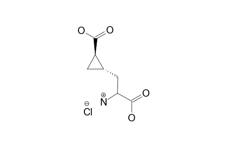 RAC-3-[TRANS-2'-(HYDROXYCARBONYL)-CYCLOPROPYL]-ALANINE-HYDROCHLORIDE