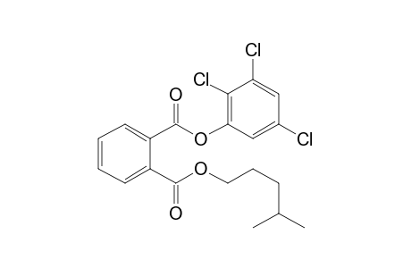 Phthalic acid, isohexyl 2,3,5-trichlorophenyl ester