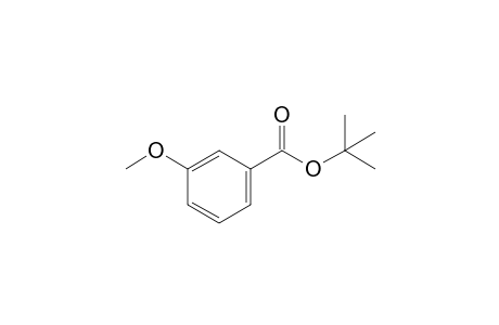 t-Butyl 3-methoxybenzoate