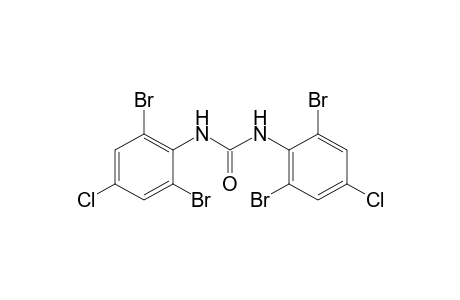 4,4'-DICHLORO-2,2',6,6'-TETRABROMOCARBANILIDE