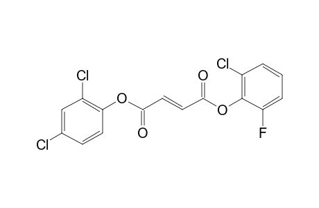 Fumaric acid, 2,4-dichlorophenyl 2-chloro-6-fluorophenyl ester