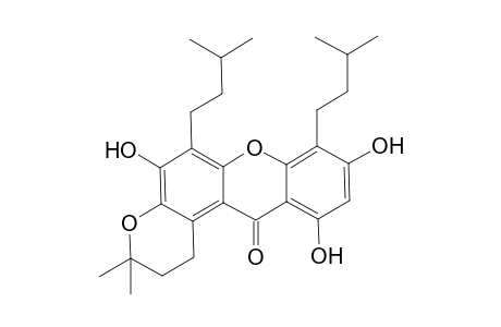 5,9,11-Trihydroxy-6,8-diisopentyl-3,3-dimethyl-2,3-dihydropyrano[3,2-a]xanthen-12(1H)-one