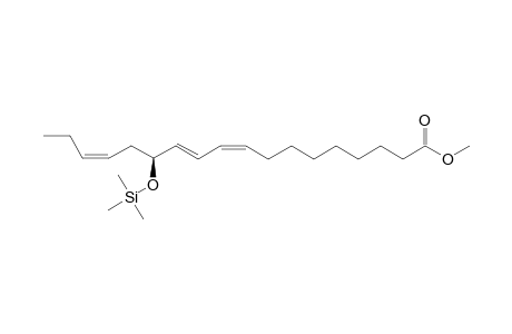 (13S,9Z,11E,15Z)-Hydroxyoctadeca-9,11,15-trienoic acid methyl ester trimethylsilyl dev.