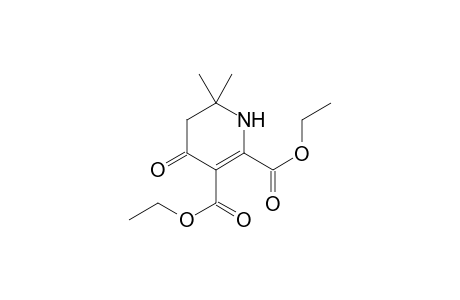 Diethyl 6,6-dimethyl-4-oxo-1,4,5,6-tetrahydro-2,3-pyridinedicarboxylate