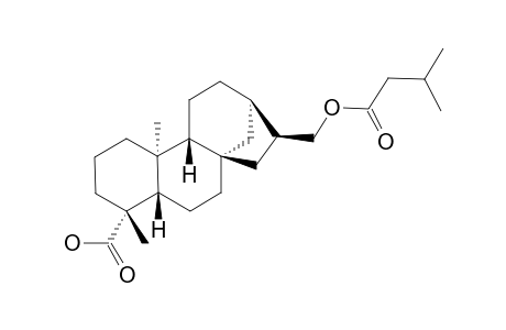 ENT-16-BETA-H,17-ISOVALERATE-KAURAN-19-OIC-ACID