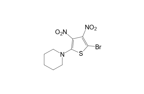 2-bromo-3,4-dinitro-5-piperidinothiophene