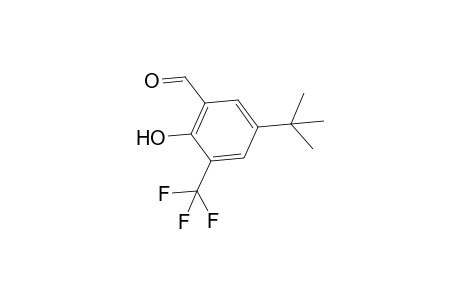 5-tert-Butyl-2-hydroxy-3-trifluoromethylbenzaldehyde