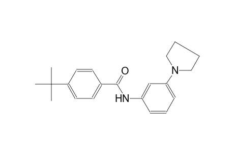 4-tert-butyl-N-[3-(1-pyrrolidinyl)phenyl]benzamide