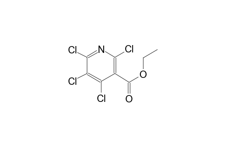 ethyl 2,4,5,6-tetrachloronicotinate