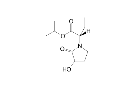 Levetiracetam-M/A (-NH2,+OCH(CH3)2,OH)
