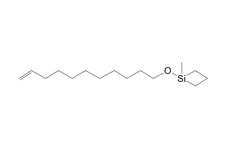 1-Methyl-1-(10-undecenyloxy)siletane
