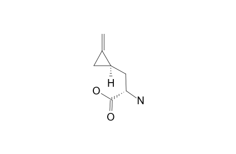 (2S,4R)-HYPOGLYCIN-A