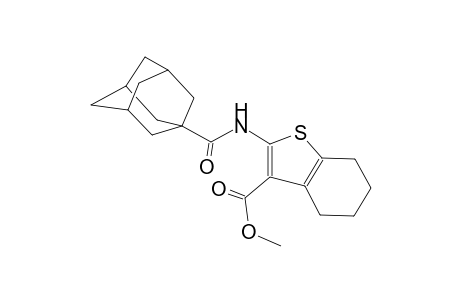 methyl 2-[(1-adamantylcarbonyl)amino]-4,5,6,7-tetrahydro-1-benzothiophene-3-carboxylate