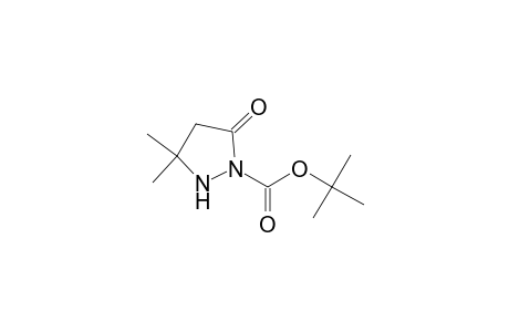 1-Pyrazolidinecarboxylic acid, 3,3-dimethyl-5-oxo-, 1,1-dimethylethyl ester