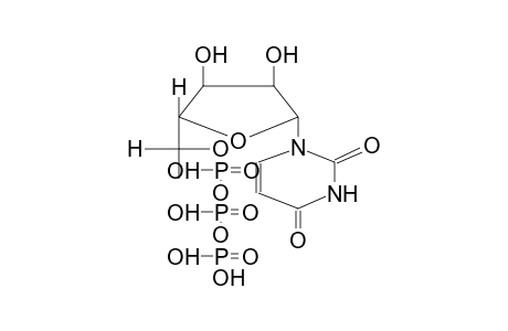 1-(6'-DEOXY-ALPHA-L-TALOFURANOSYL)URACYL-5'-TRIPHOSPHATE