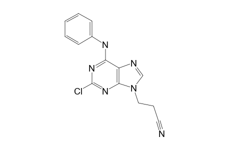 2-CHLORO-9-BETA-CYANOETHYL-6-PHENYLAMINO-PURINE