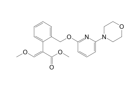 Methyl (E)-3-methoxy-2-[2-[(6-morpholino-2-pyridyl)oxymethyl]phenyl]prop-2-enoate