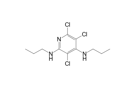 3,5,6-Trichloro-N2,N4-dipropylpyridin-2,4-diamine