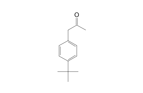 1-(4-tert-Butylphenyl)propan-2-one