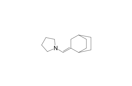 Pyrrolidine, 1-(bicyclo[2.2.2]oct-2-ylidenemethyl)-