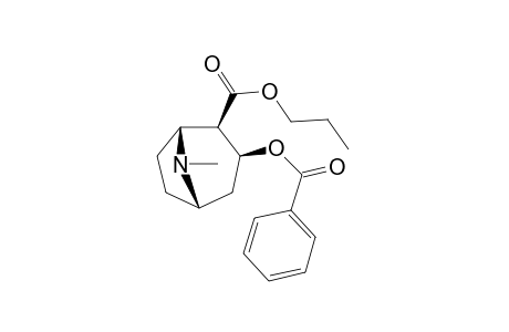 Propylbenzoylecgonine