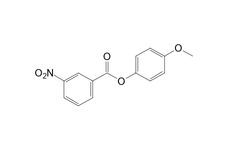 m-nitrobenzoic acid, p-methoxyphenyl ester