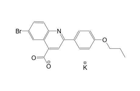 potassium 6-bromo-2-(4-propoxyphenyl)-4-quinolinecarboxylate