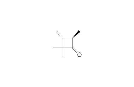 Cyclobutanone, 2,2,3,4-tetramethyl-, trans-