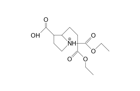 2,2-Bis(ethoxycarbonyl)-6-carboxy-1-azonia-bicyclo(3.3.0)octane