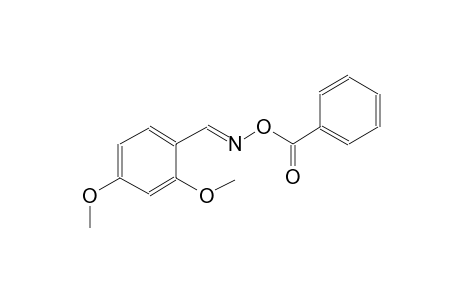 2,4-dimethoxybenzaldehyde O-benzoyloxime
