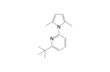 2-tert-butyl-6-(2,5-dimethylpyrrol-1-yl)pyridine