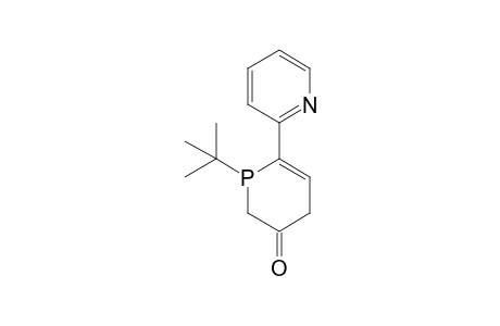 1-tert-butyl-6-(2-pyridinyl)-2,4-dihydrophosphorin-3-one