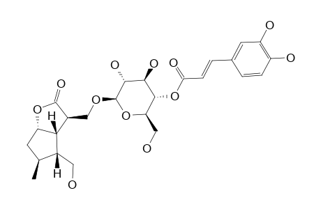 VERBENABRASIDE-A;GELSEMIOL-3-O-(4'-TRANS-CAFFEOYL)-BETA-D-GLUCOPYRANOSIDE