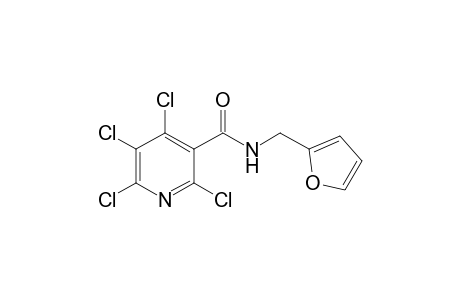 2,4,5,6-tetrachloro-N-(furan-2-ylmethyl)pyridine-3-carboxamide