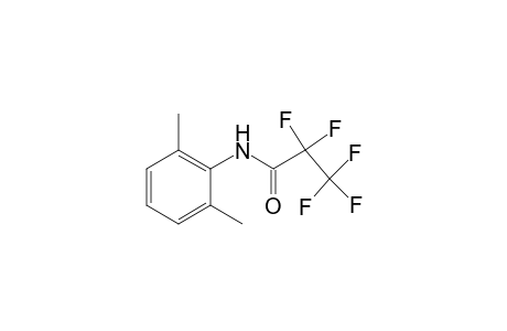 N-(2,6-dimethylphenyl)-2,2,3,3,3-pentafluoropropanamide