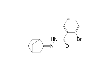 N'-[(2Z)-bicyclo[2.2.1]hept-2-ylidene]-2-bromobenzohydrazide