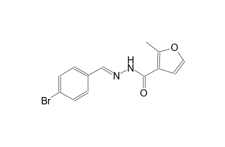 N'-[(E)-(4-bromophenyl)methylidene]-2-methyl-3-furohydrazide