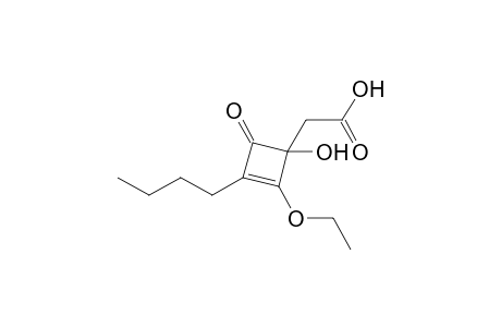 (3-Butyl-2-ethoxy-1-hydroxy-4-oxo-2-cyclobutenyl)acetic acid