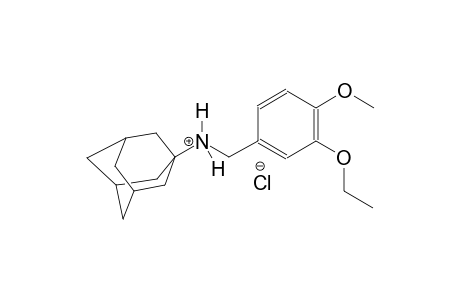 N-(3-ethoxy-4-methoxybenzyl)-1-adamantanaminium chloride