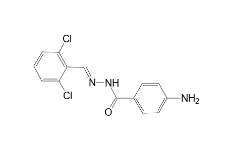 4-Amino-N'-[(E)-(2,6-dichlorophenyl)methylidene]benzohydrazide
